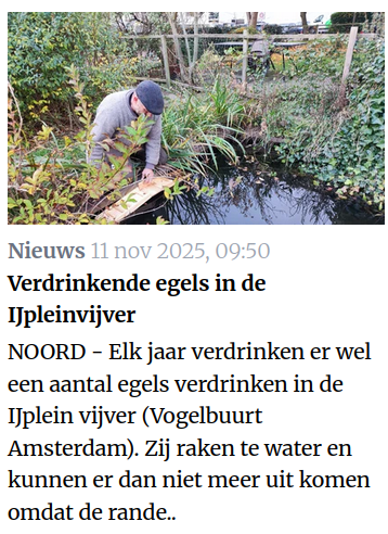 Rodi krant 12 nov. 2025